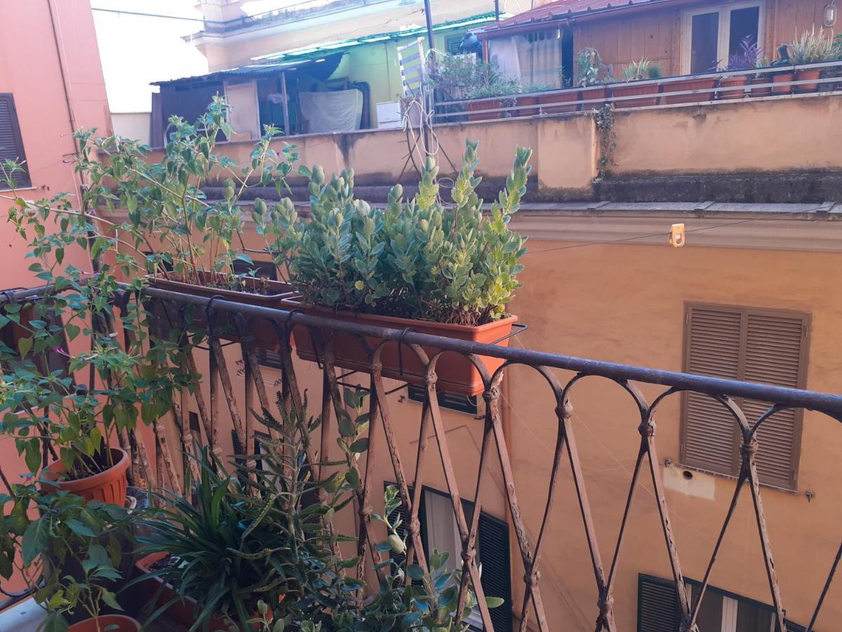 Napoleone Luxury Affittacamere *